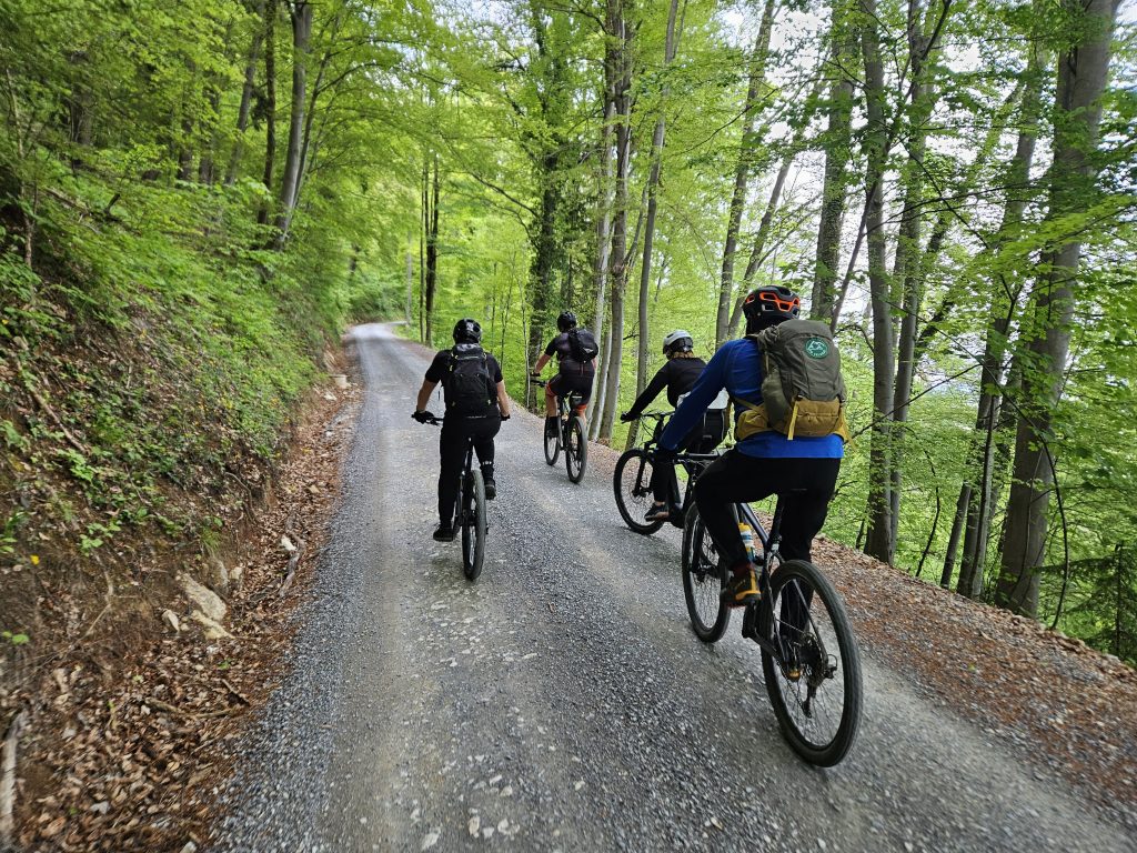 Vodeno celodnevno lokalno doživetje​